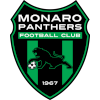 Logo Monaro Panthers U23
